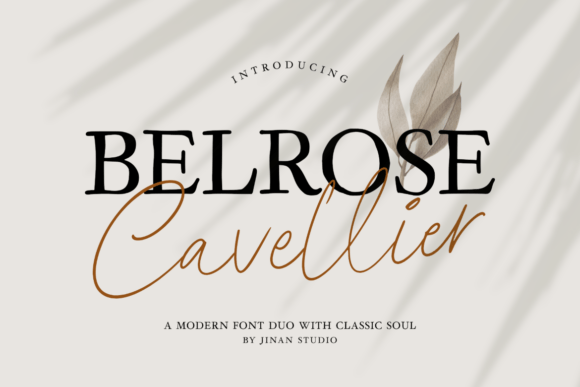 Belrose Cavellier Duo: Balancing Artistic Grace with Bold Character
